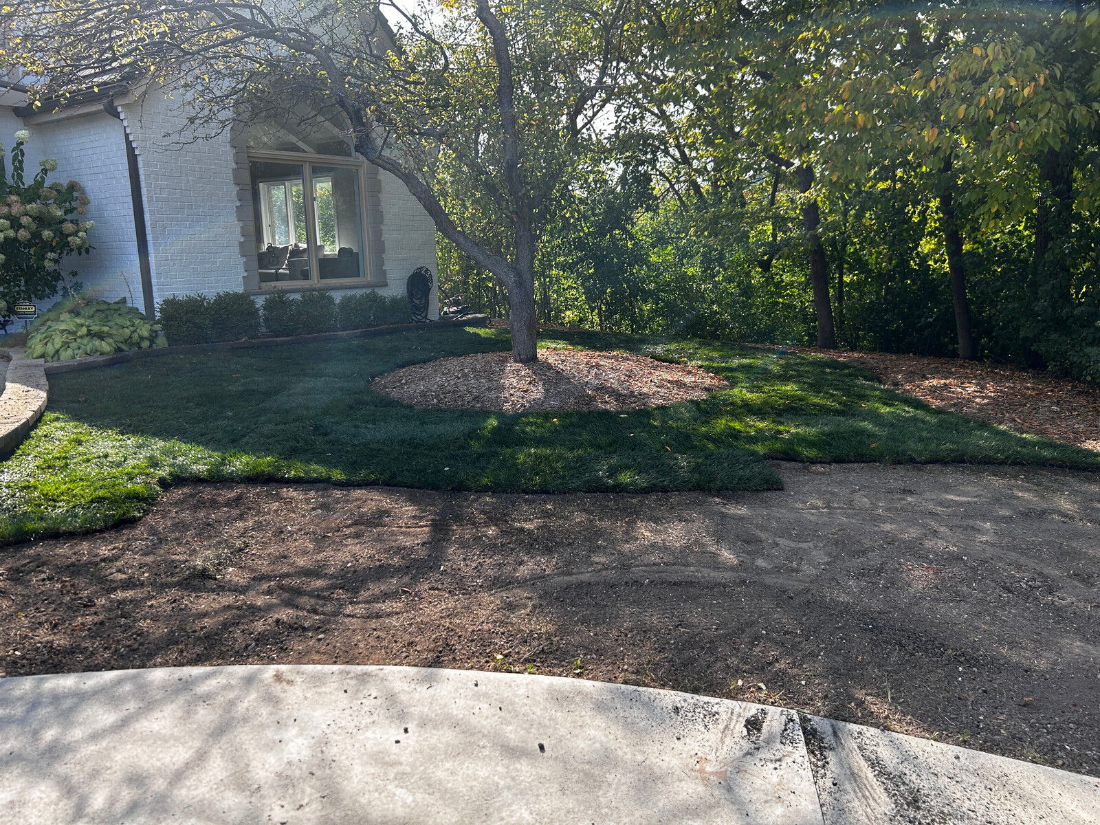 Freshly mowed and edged lawn on a Milwaukee North Shore property